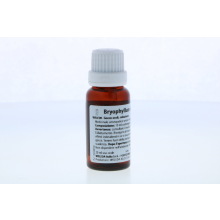 Bryophyllum Argento Cultum Rh D3 Gocce 20ml Gocce e spray 