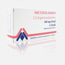 Micoxolamina 6 Ovuli vaginali 100mg Capsule e ovuli 